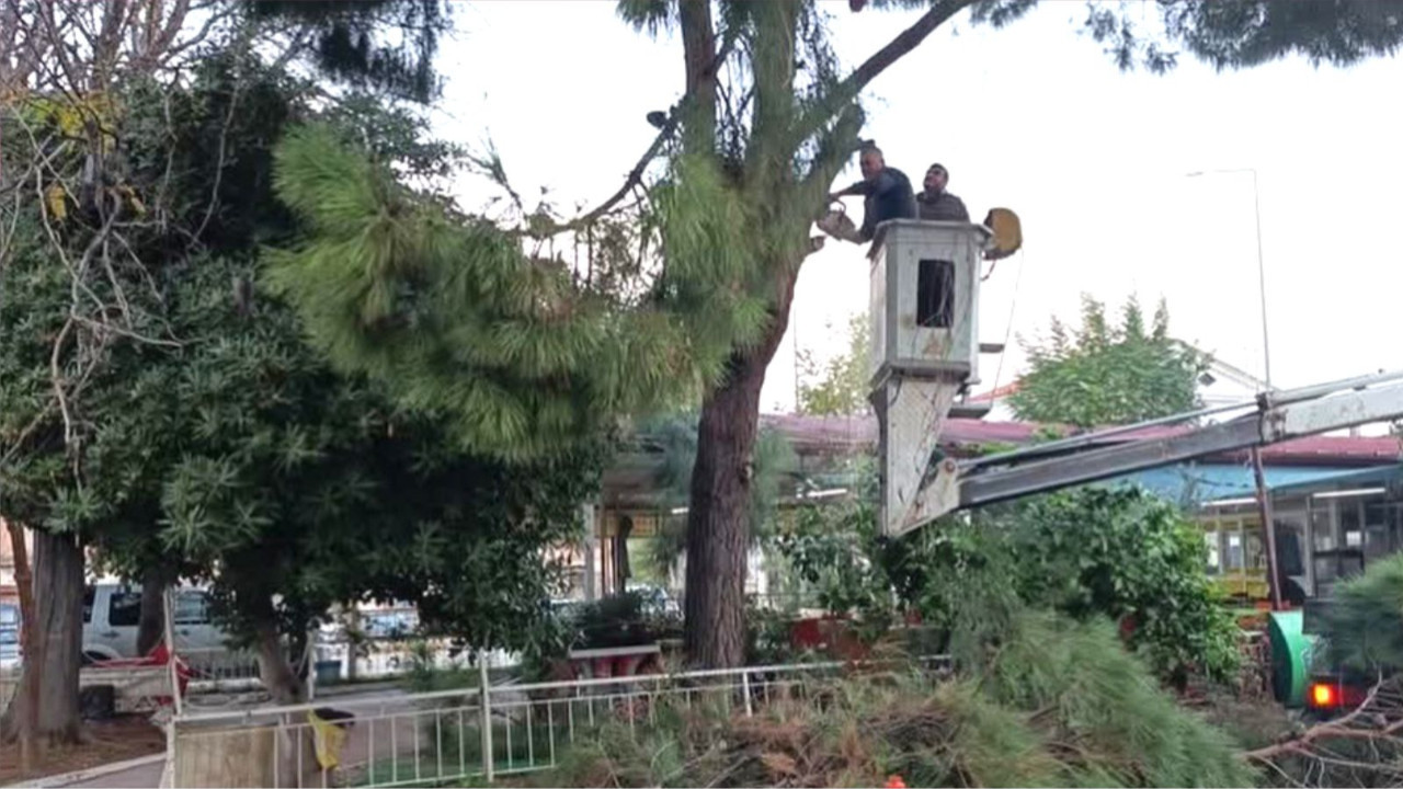 Ayvalık’ta 12.Ay Ve 2026 Kışa Hazırlık Başladı