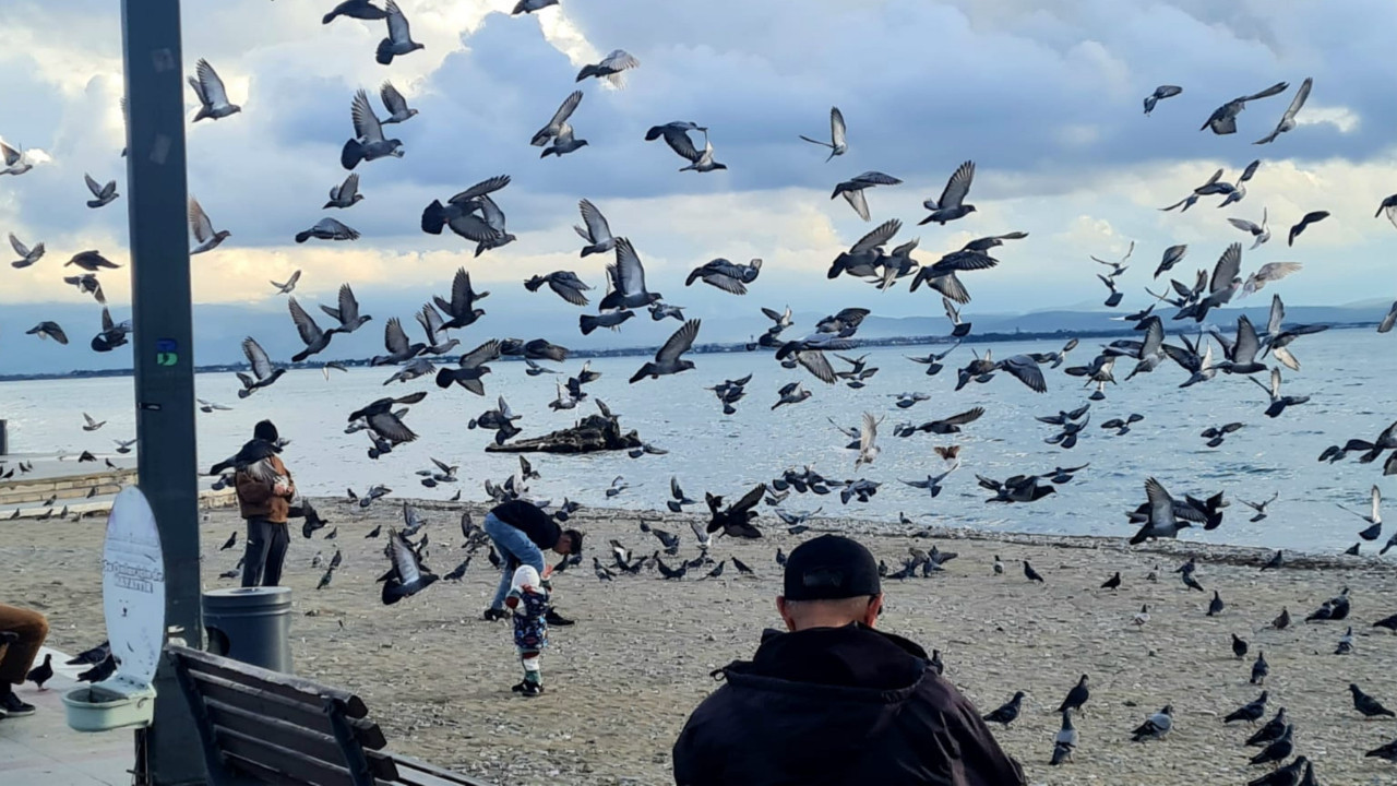 Körfez Sahilleri Emekliler İle Kuşlara Kaldı