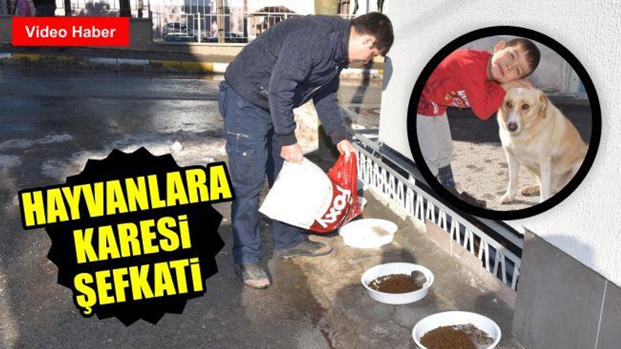 Hayvanlara Karesi Şefkati