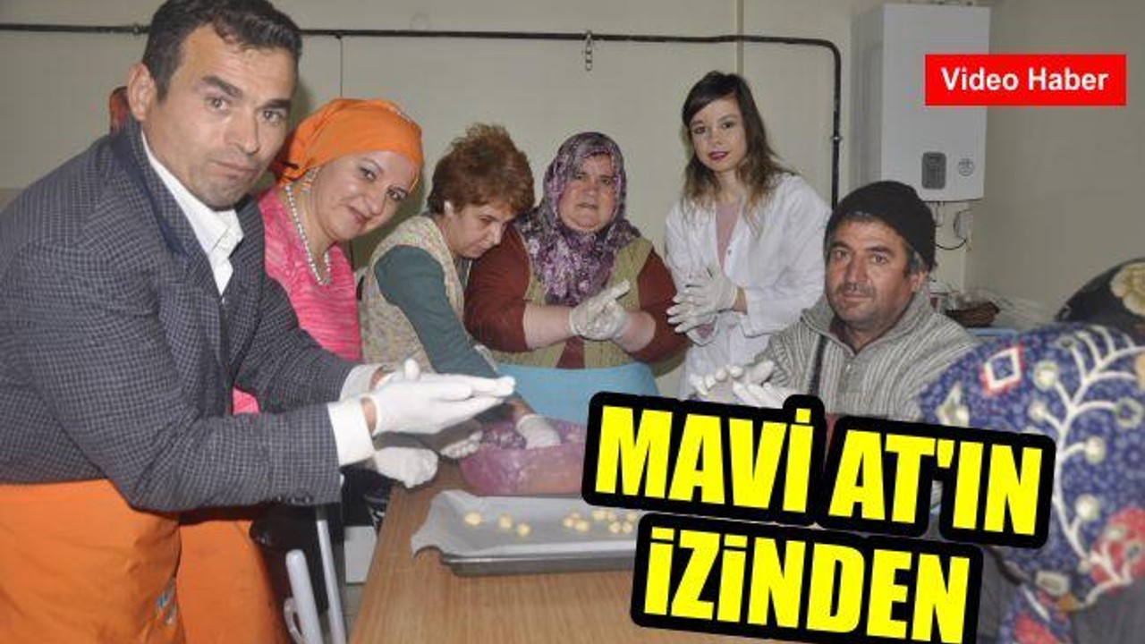 Mavi At'ın İzinden