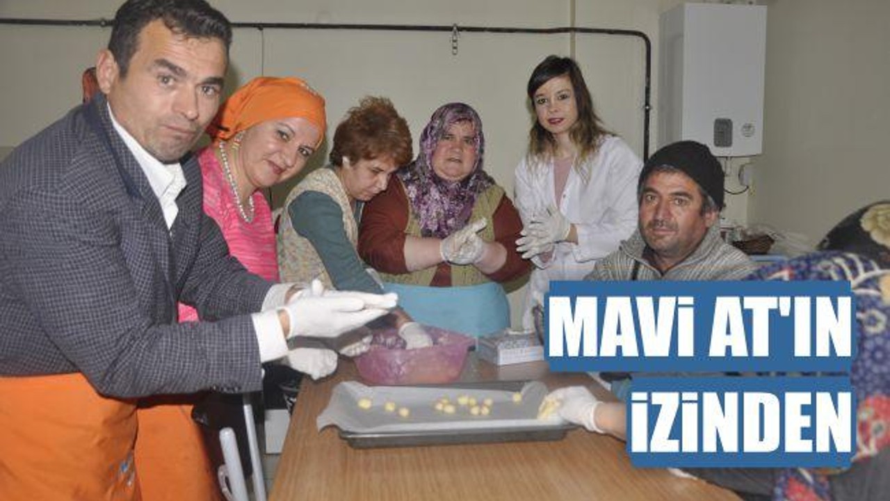 Mavi At'ın izinden