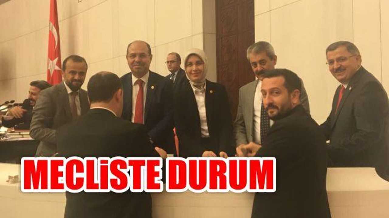 Mecliste Durum