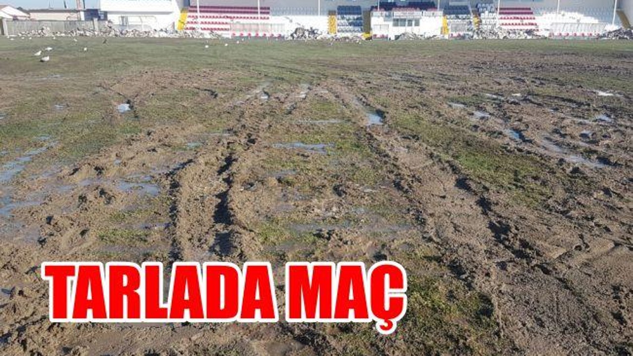 Tarlada Maç