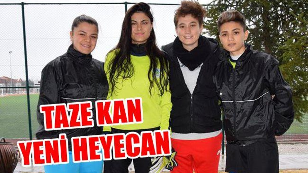 Taze Kan Yeni Heyecan