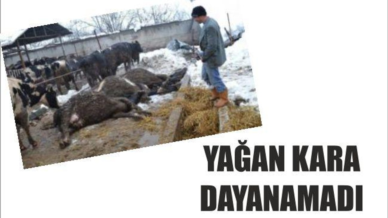 Yağan kara dayanamadı