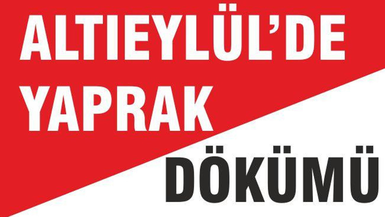 ALTIEYLÜL’DE YAPRAK DÖKÜMÜ