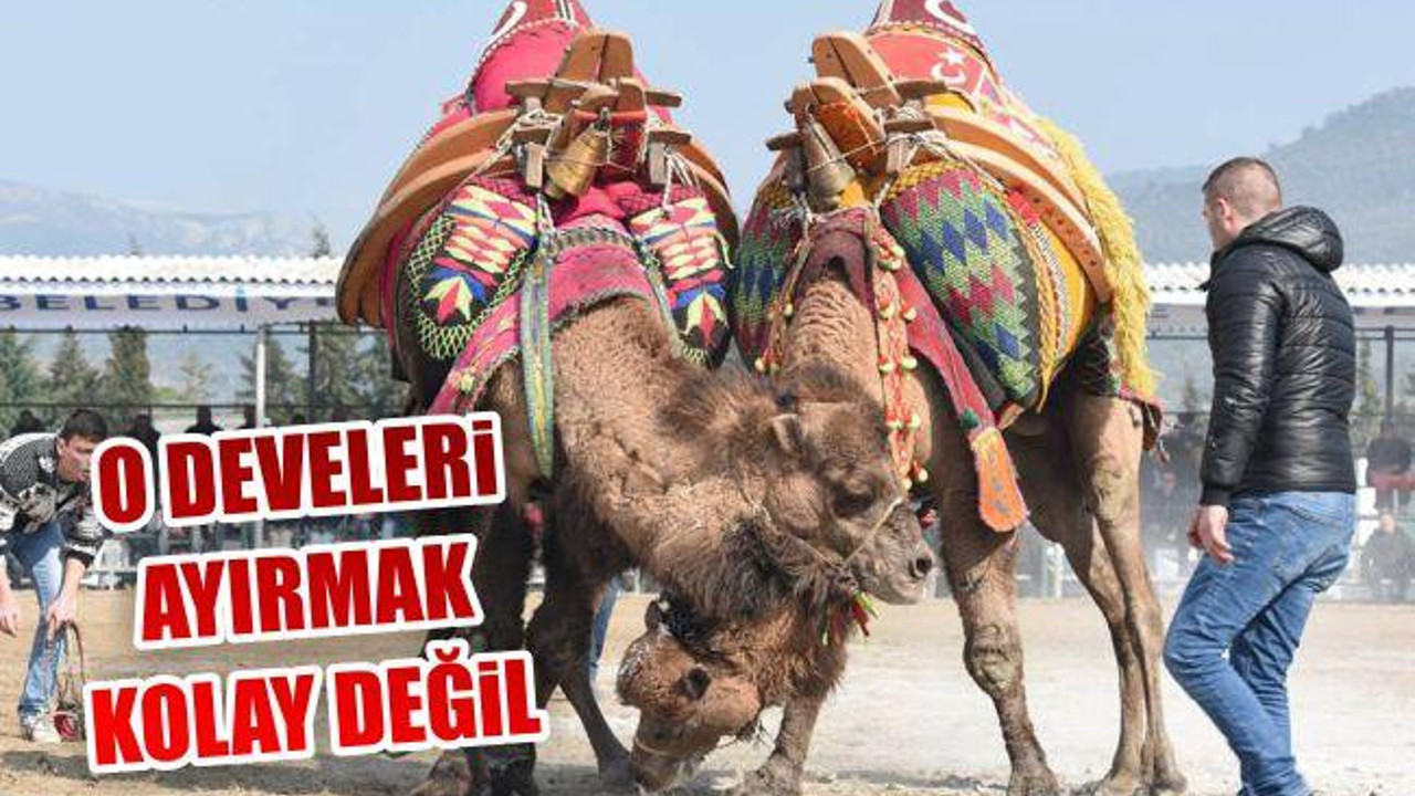O develeri Ayırmak Kolay Değil