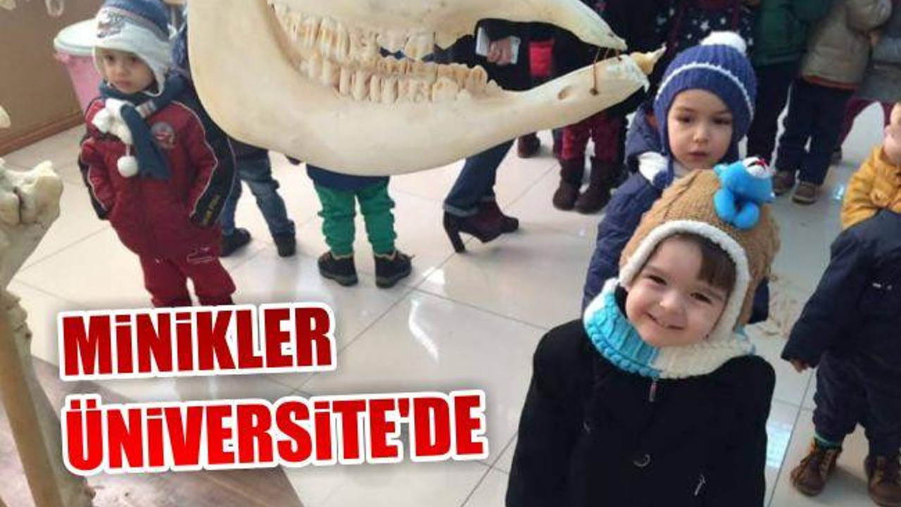 Minikler Üniversite'de