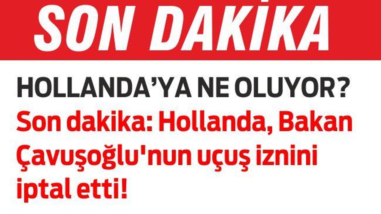 HOLLANDA'YA NE OLUYOR?