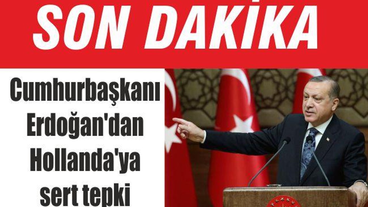 Erdoğan'dan Hollanda'ya sert tepki