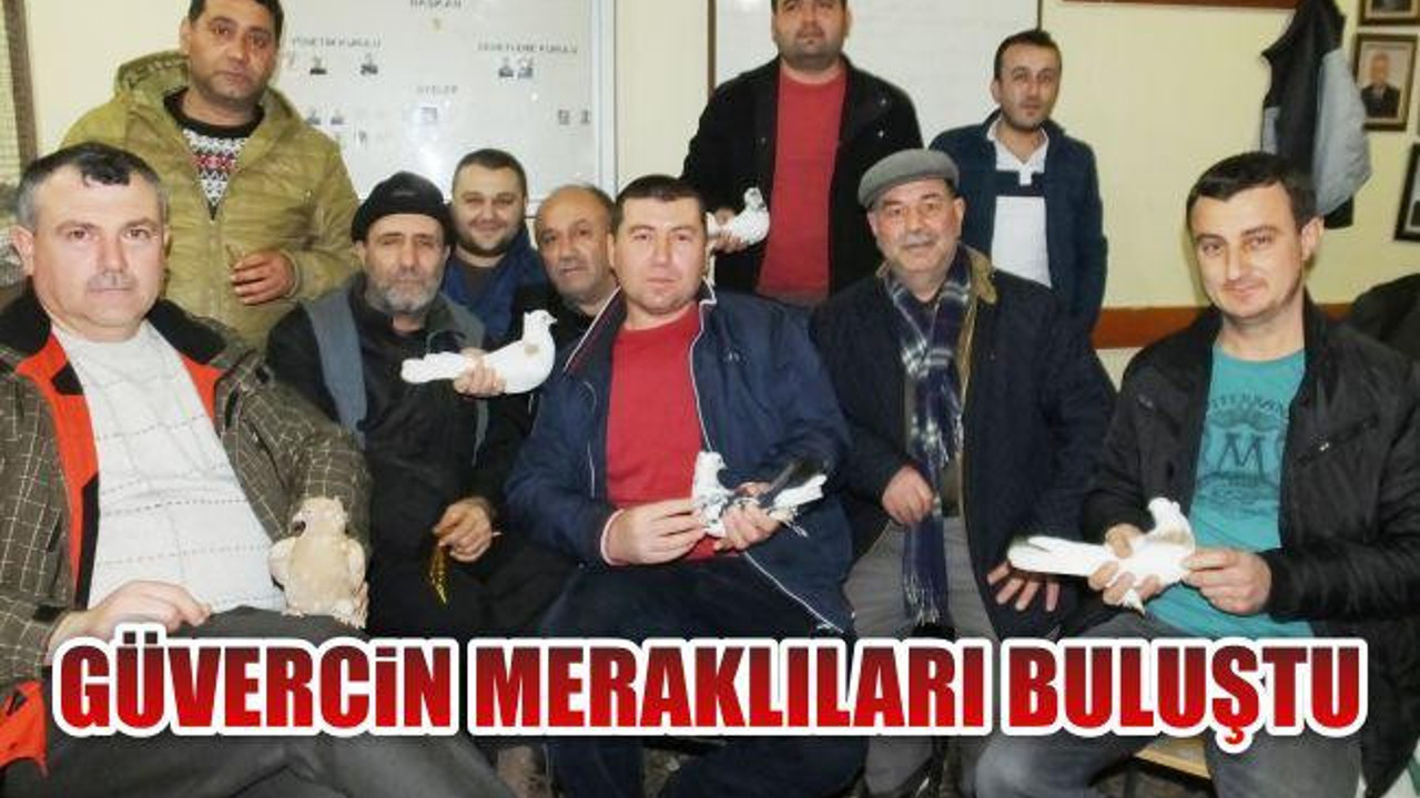 Güvercin meraklıları buluştu