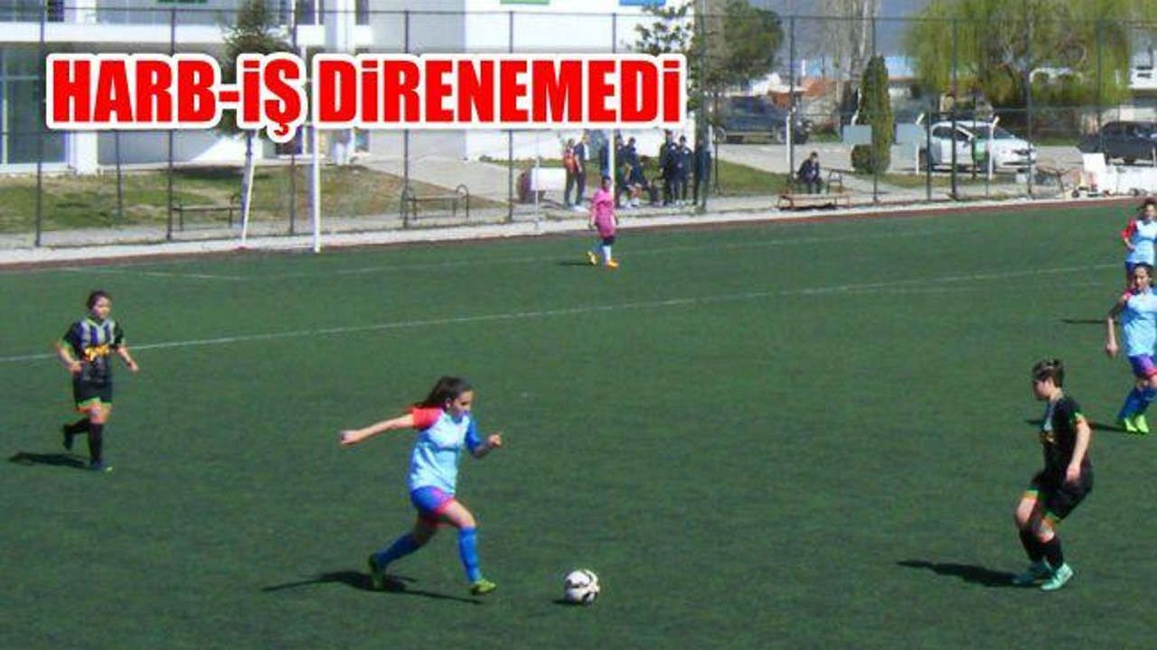 Harb-İş Direnemedi