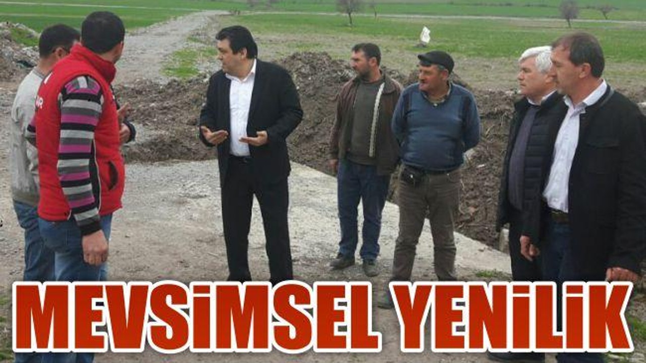 Mevsimsel yenilik