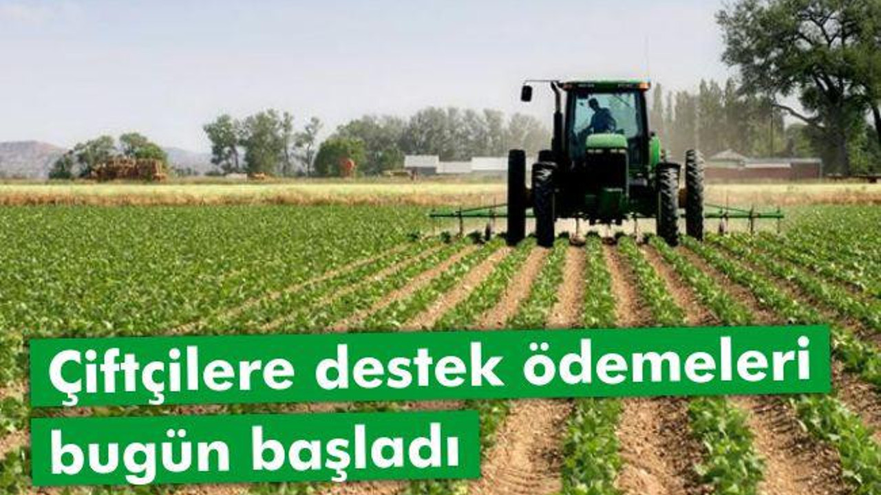 Çiftçilere Destek Ödemeleri Başladı