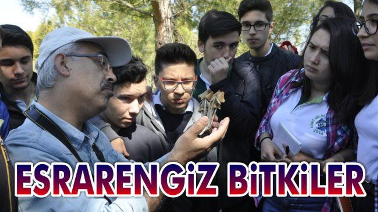 Esrarengiz Bitkiler