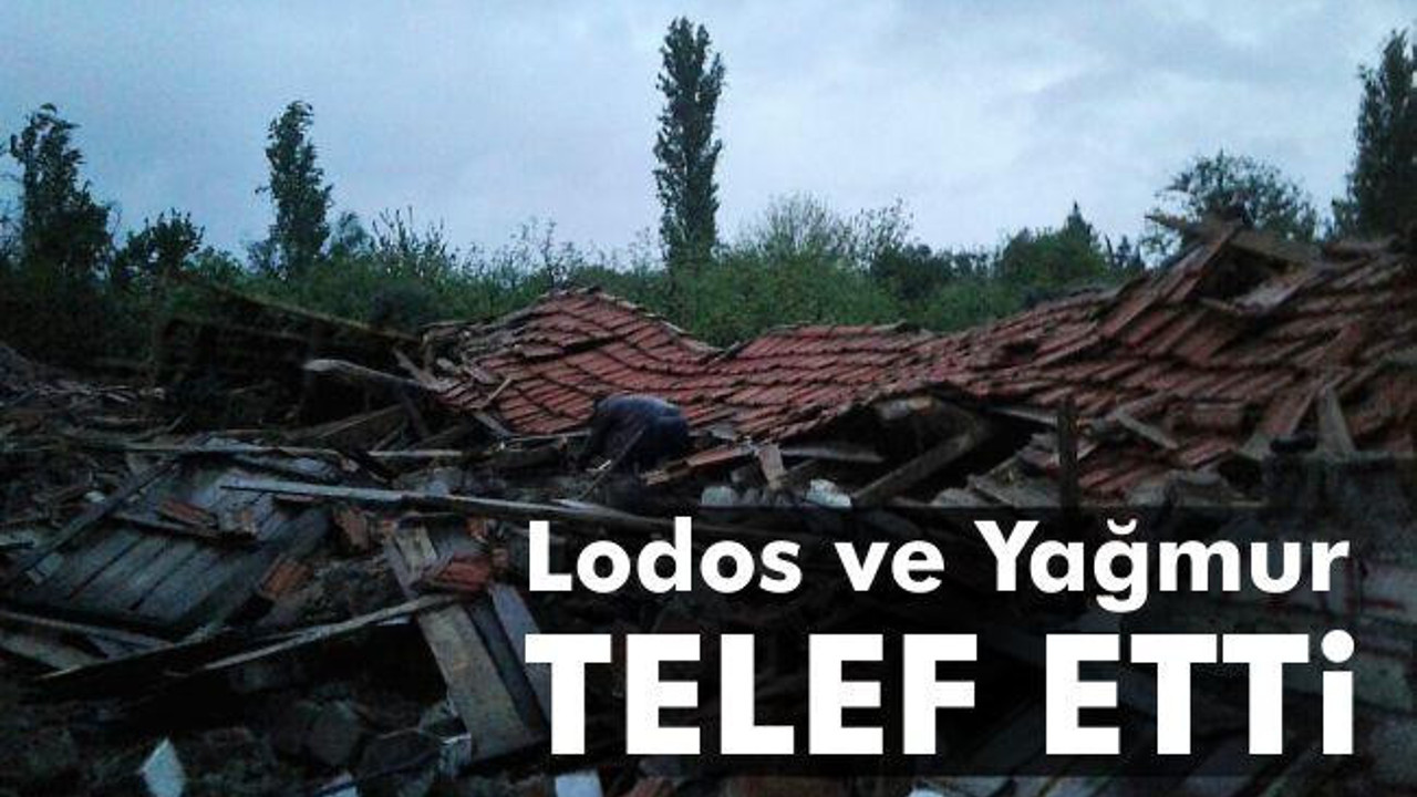 Lodos ve yağmur telef etti