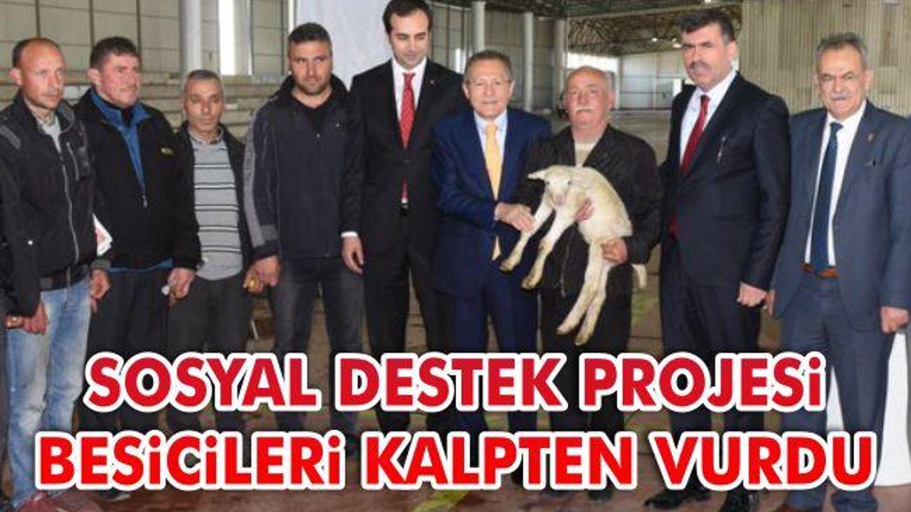 Sosyal Destek Projesi Besicileri Kalpten Vurdu