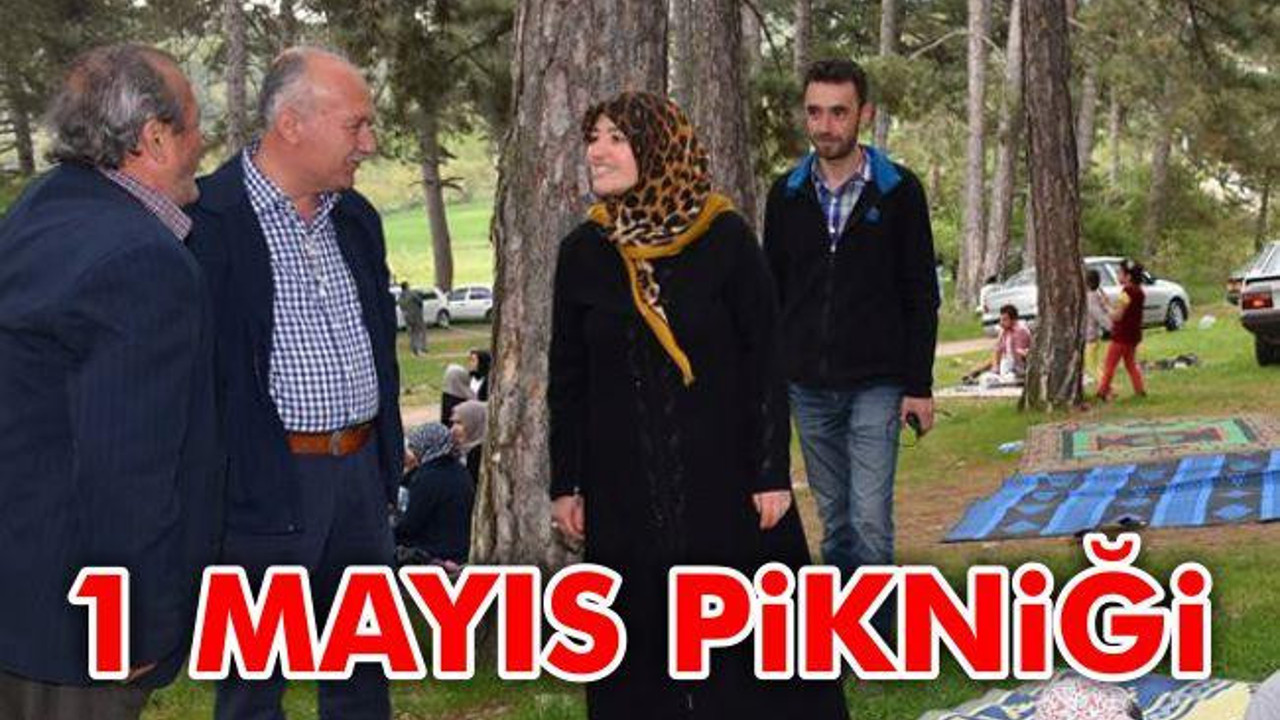 1 Mayıs Pikniği