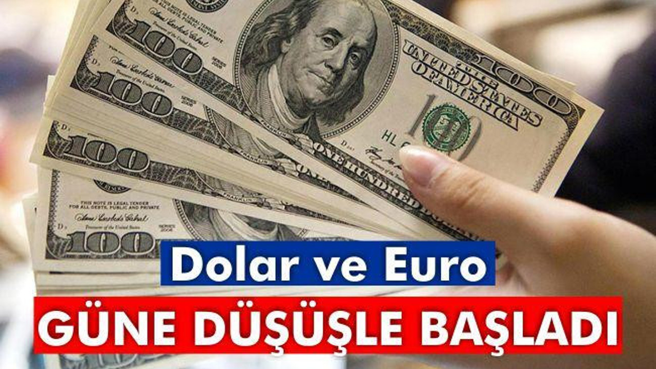 Dolar ve Euro güne düşüşle başladı