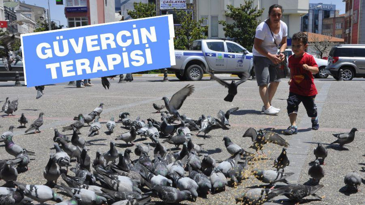 GÜVERCİN TERAPİSİ