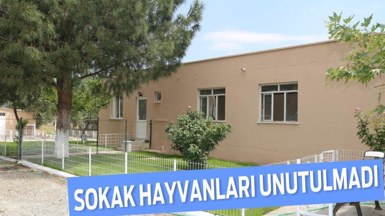 SOKAK HAYVANLARI UNUTULMADI