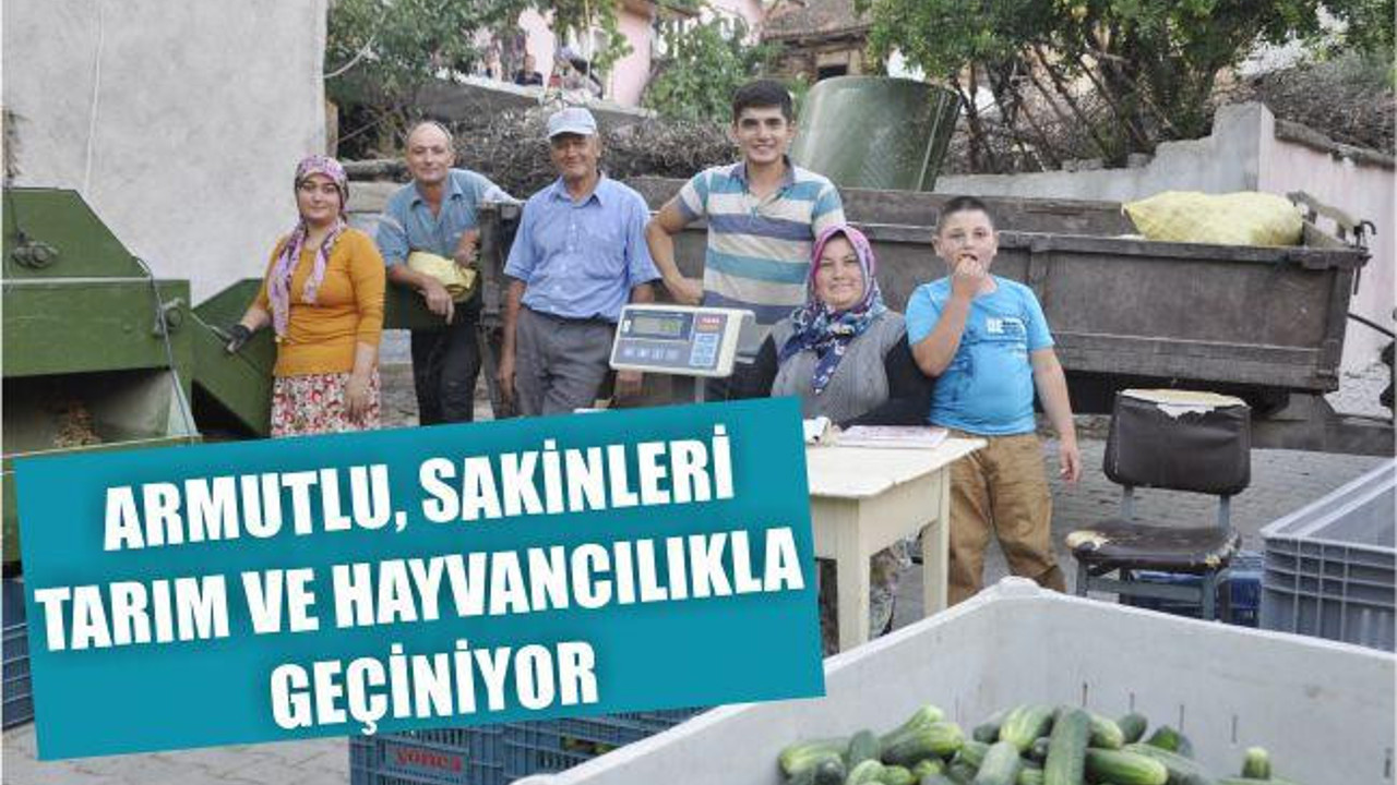Armutlu, sakinleri tarım ve hayvancılıkla geçiniyor