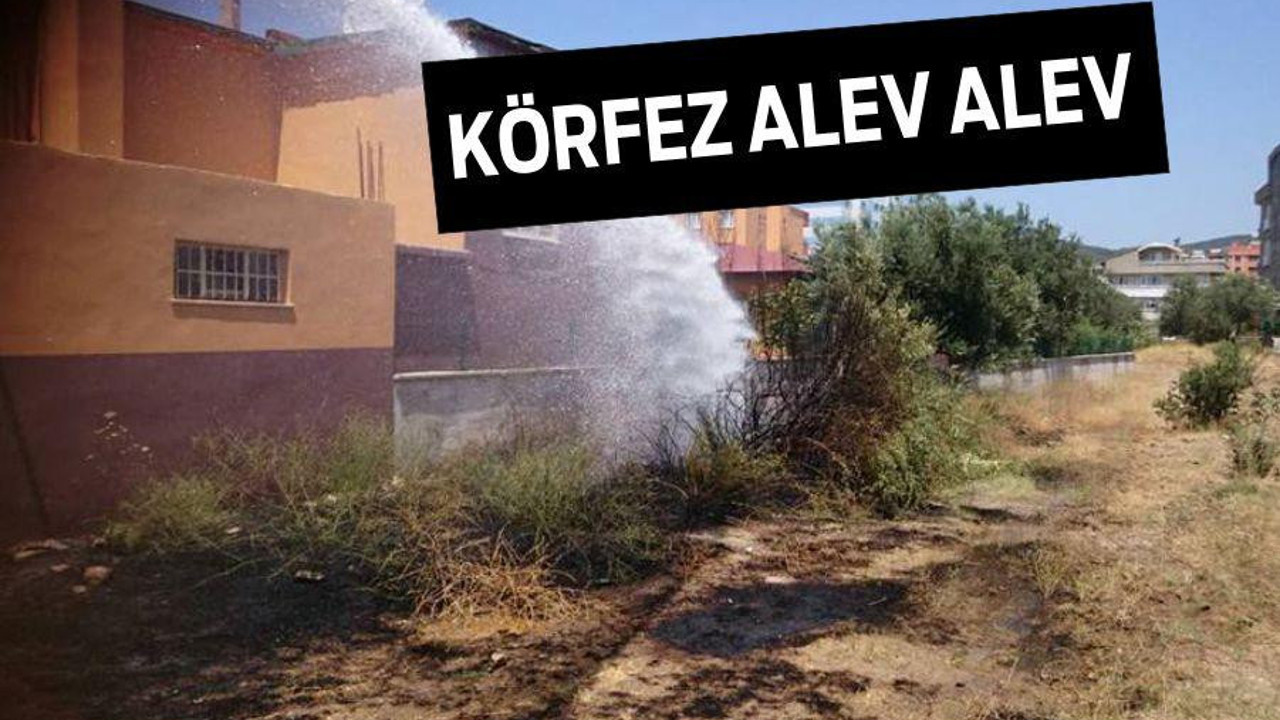 KÖRFEZ ALEV ALEV