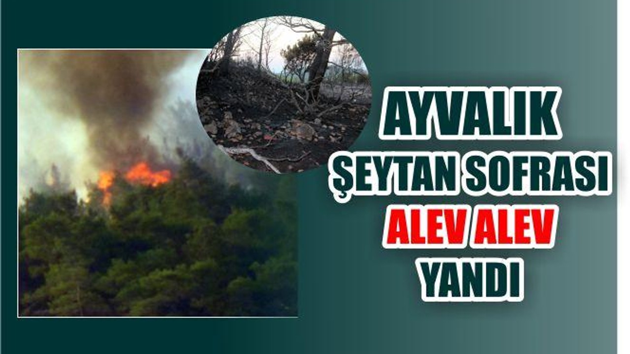 YÜREK YAKAN GÖRÜNTÜ