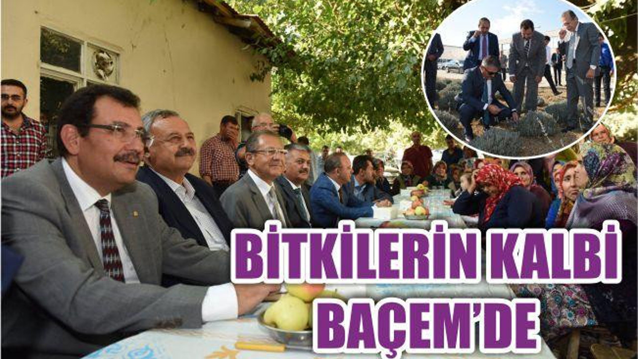 BİTKİLERİN KALBİ BAÇEM’DE