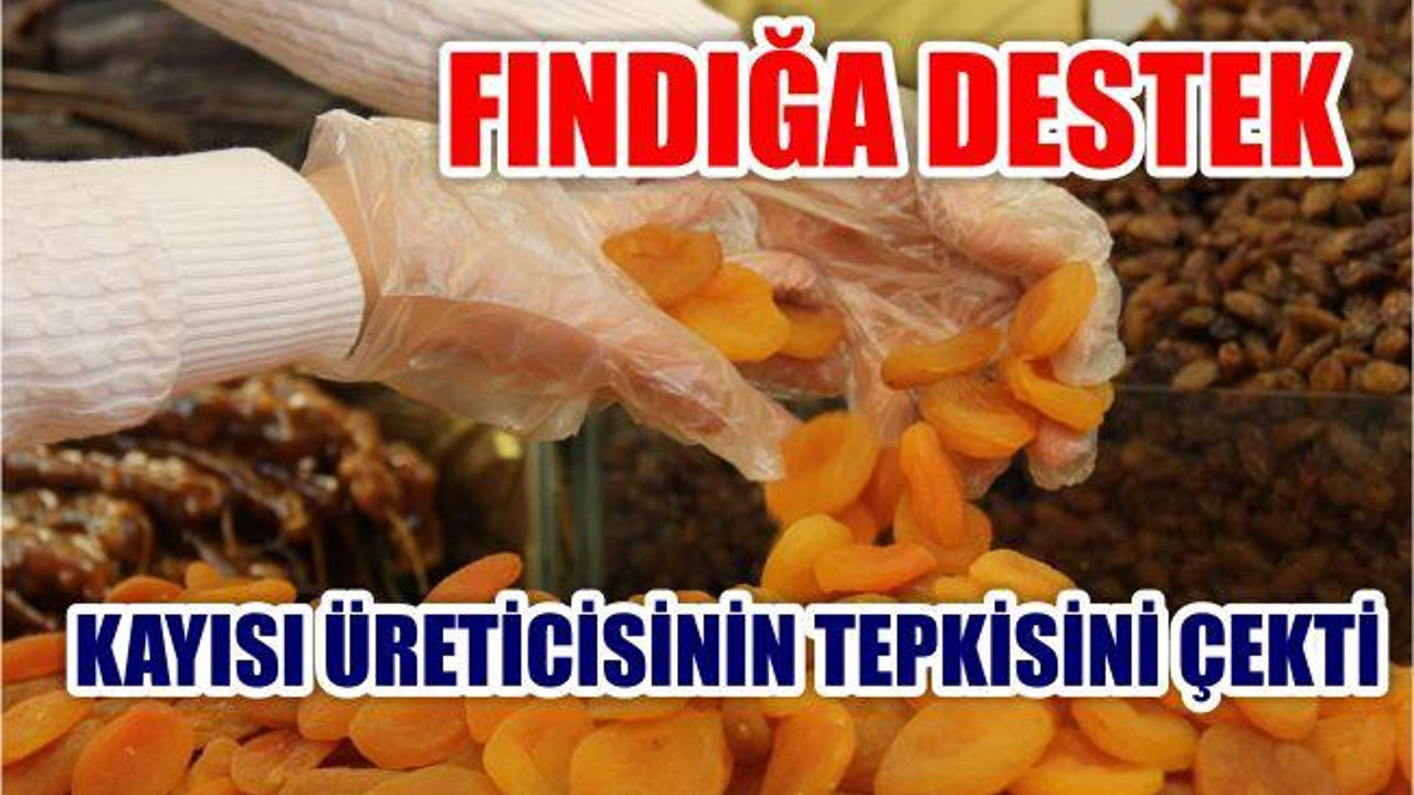 Fındığa Destek Kayısı Üreticisinin Tepkisini Çekti