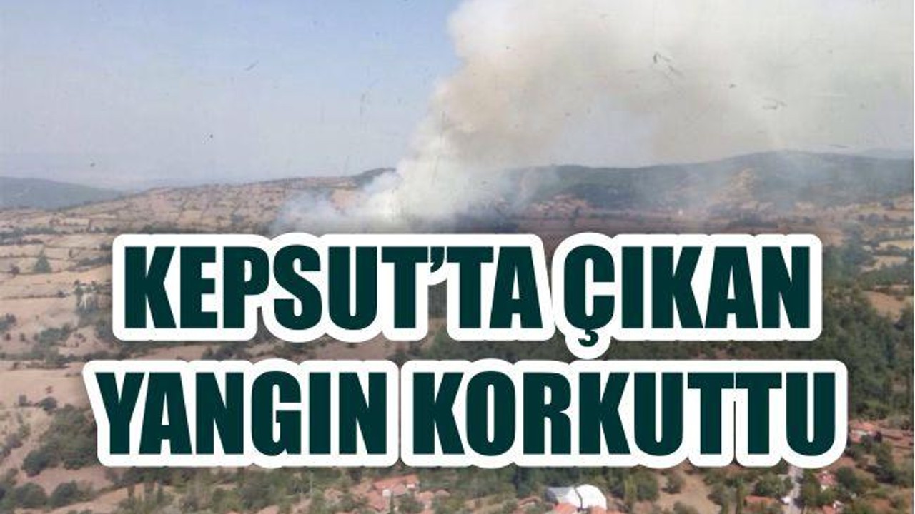 Kepsut'ta Orman Yangını