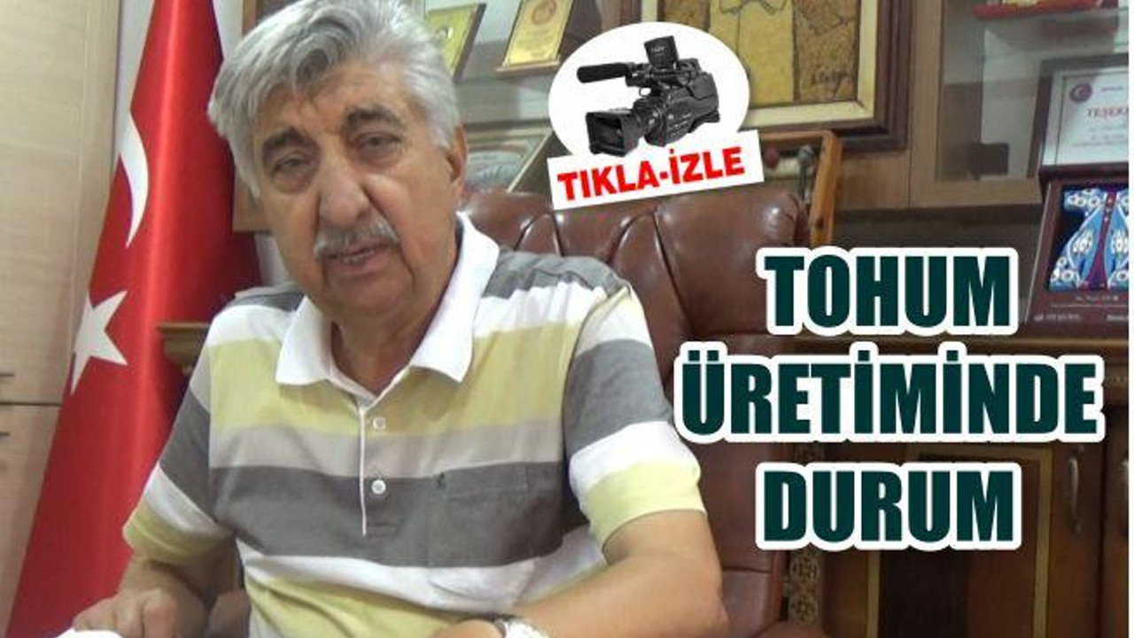 TOHUM ÜRETİMİNDE DURUM