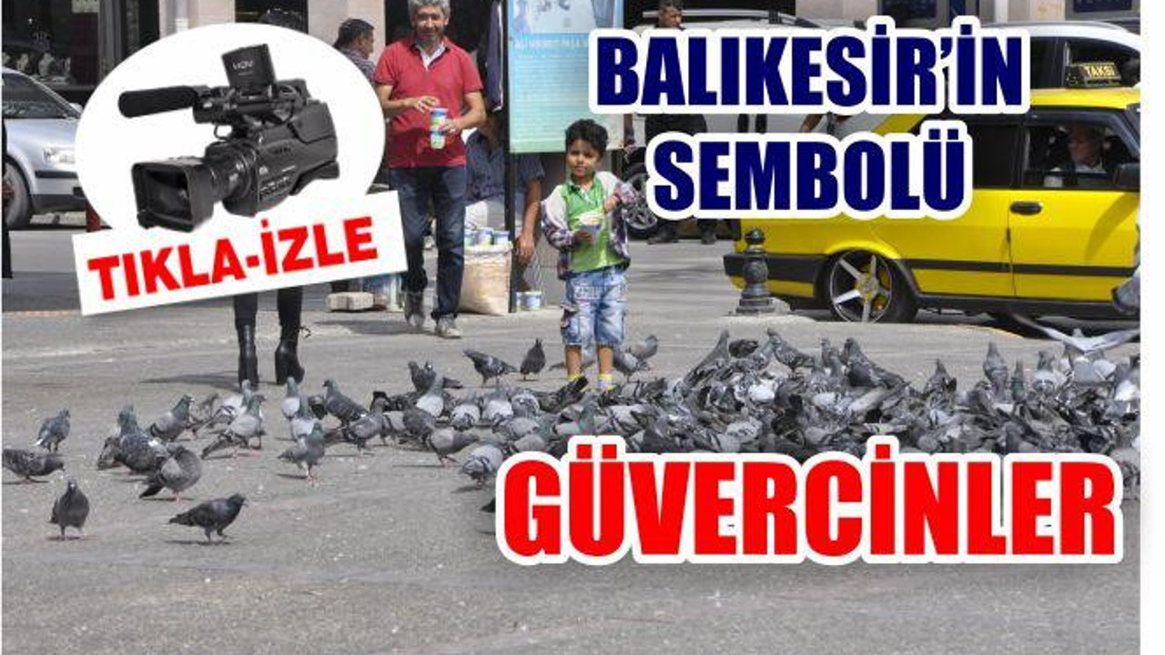 BALIKESİR'İN SEMBOLÜ GÜVERCİNLER