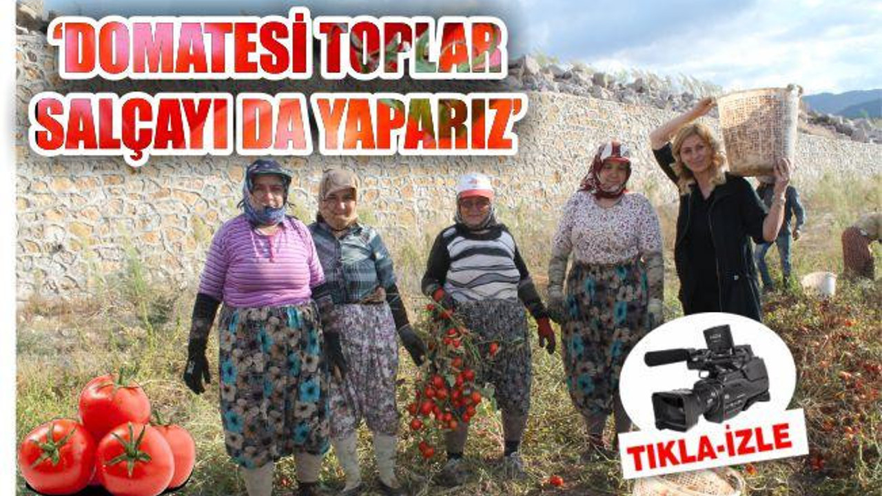 DOMATESİ TOPLAR SALÇAYI DA YAPARIZ