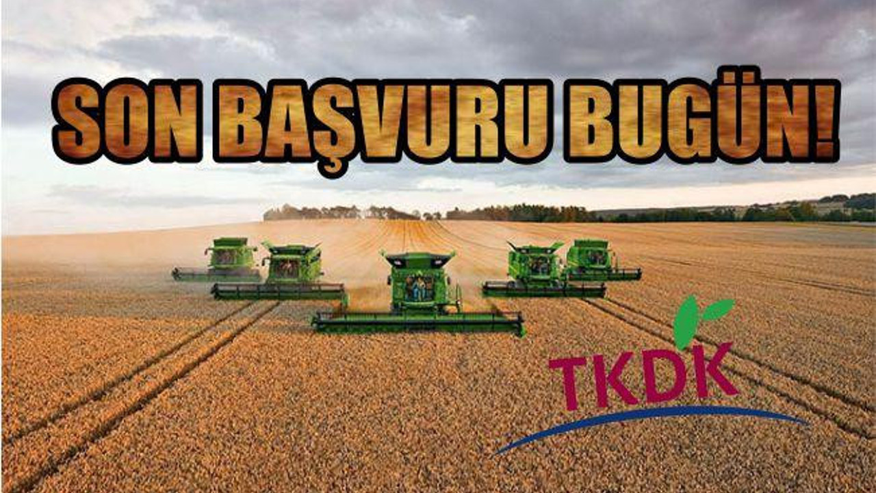 SON BAŞVURU BUGÜN