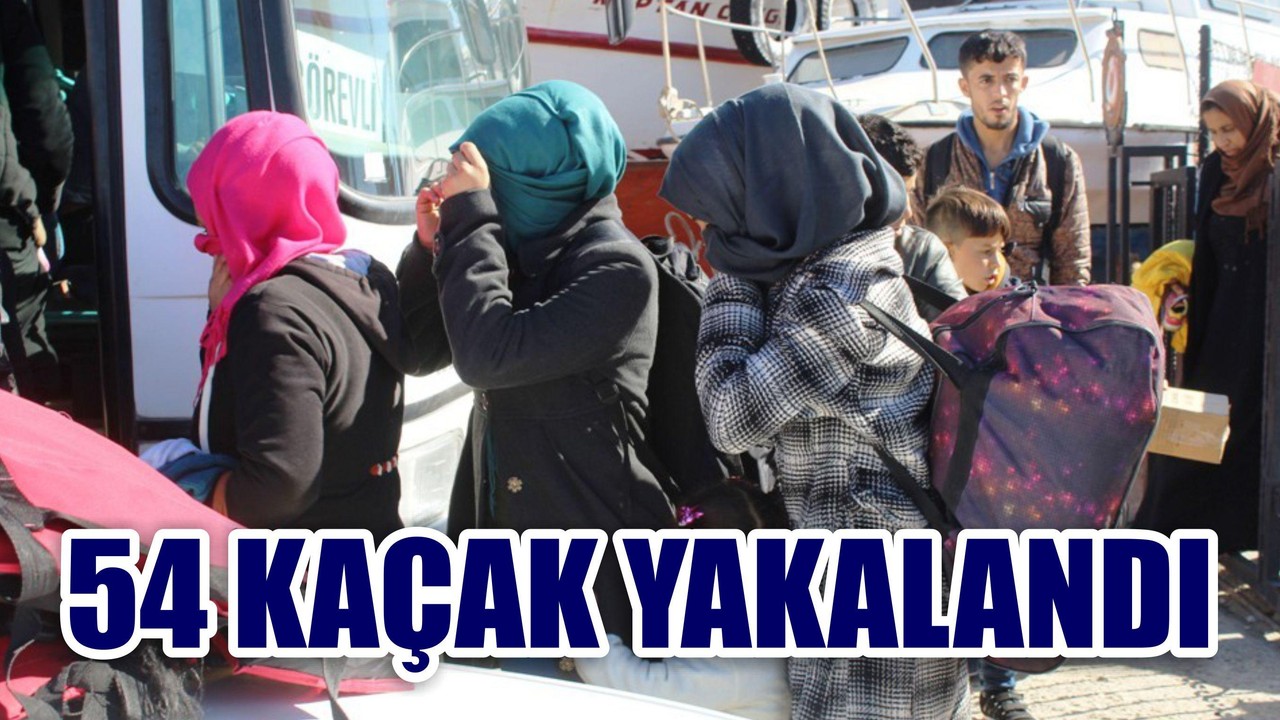 Ayvalık’ta 54 Kaçak Yakalandı