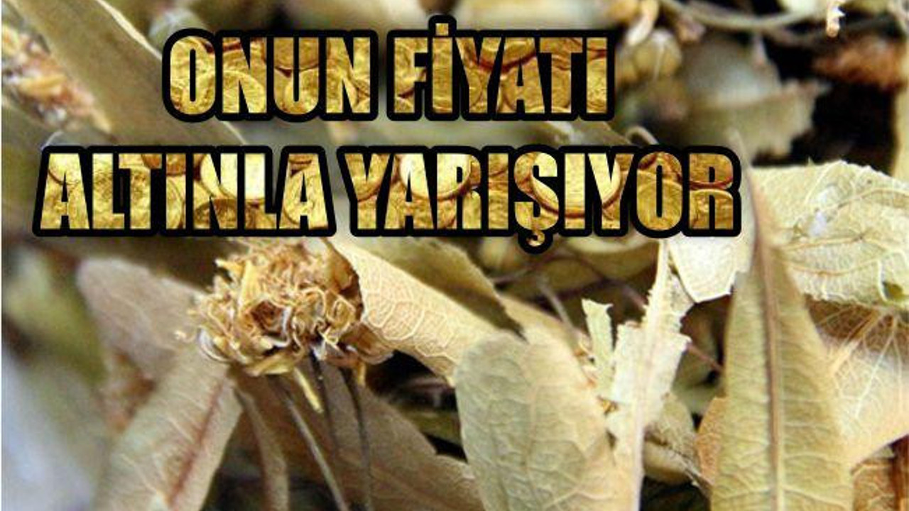 KİLOSU 200 LİRA