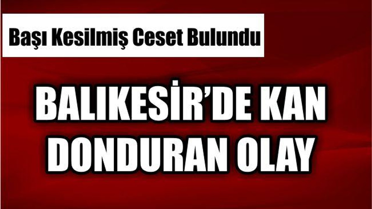 Zeytinlikte Başı Kesilmiş Erkek Cesedi Bulundu