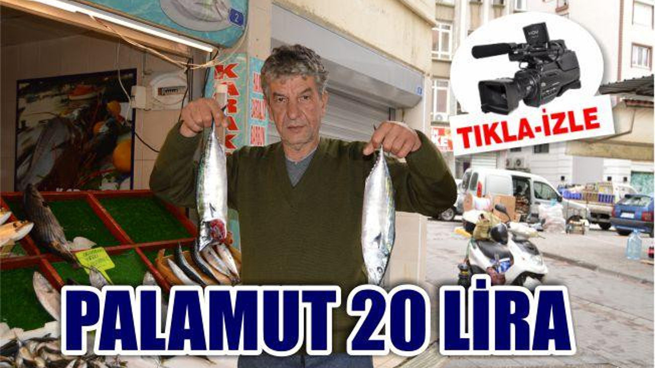 “Palamut 20 lira”