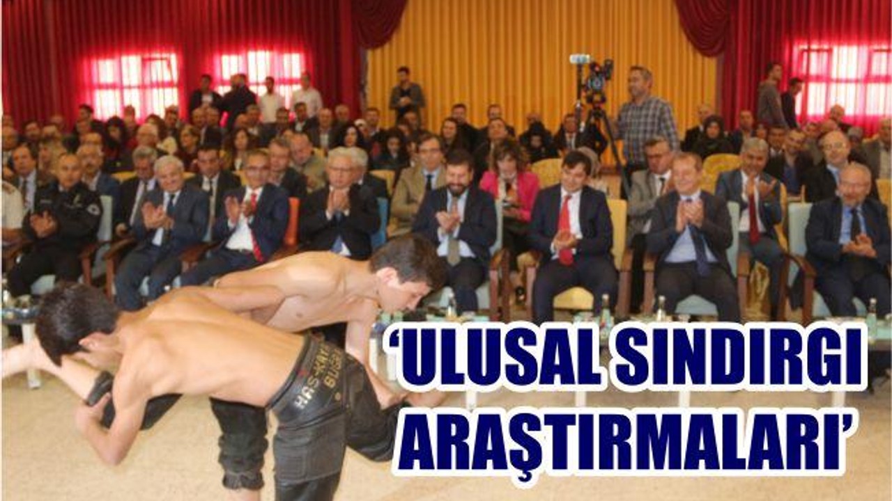 ULUSAL SINDIRGI ARAŞTIRMALARI