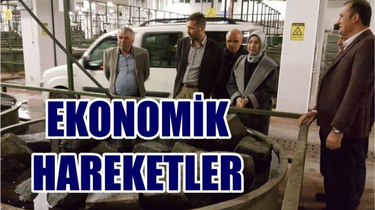 EKONOMİK HAREKETLER