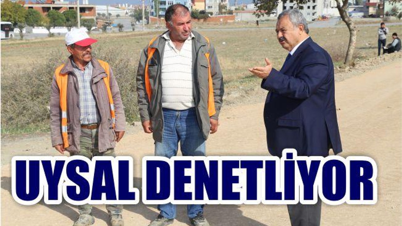 UYSAL DENETLİYOR