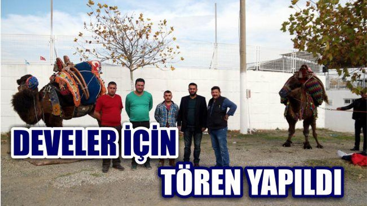 HAVUTLARINI GİYDİLER