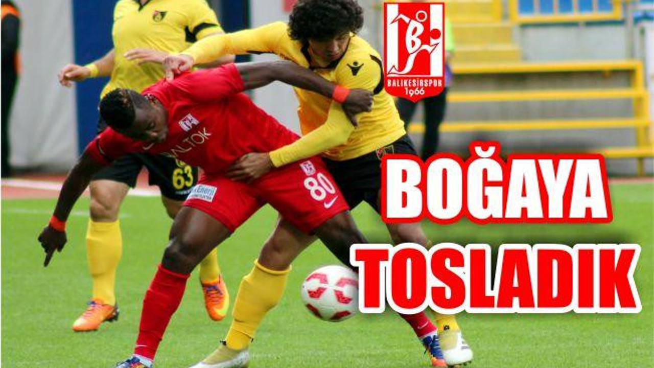 BOĞAYA TOSLADIK