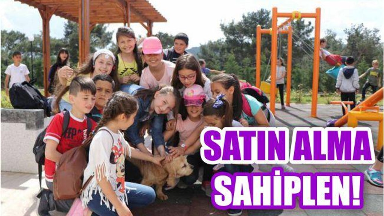 Satın Alma Sahiplen