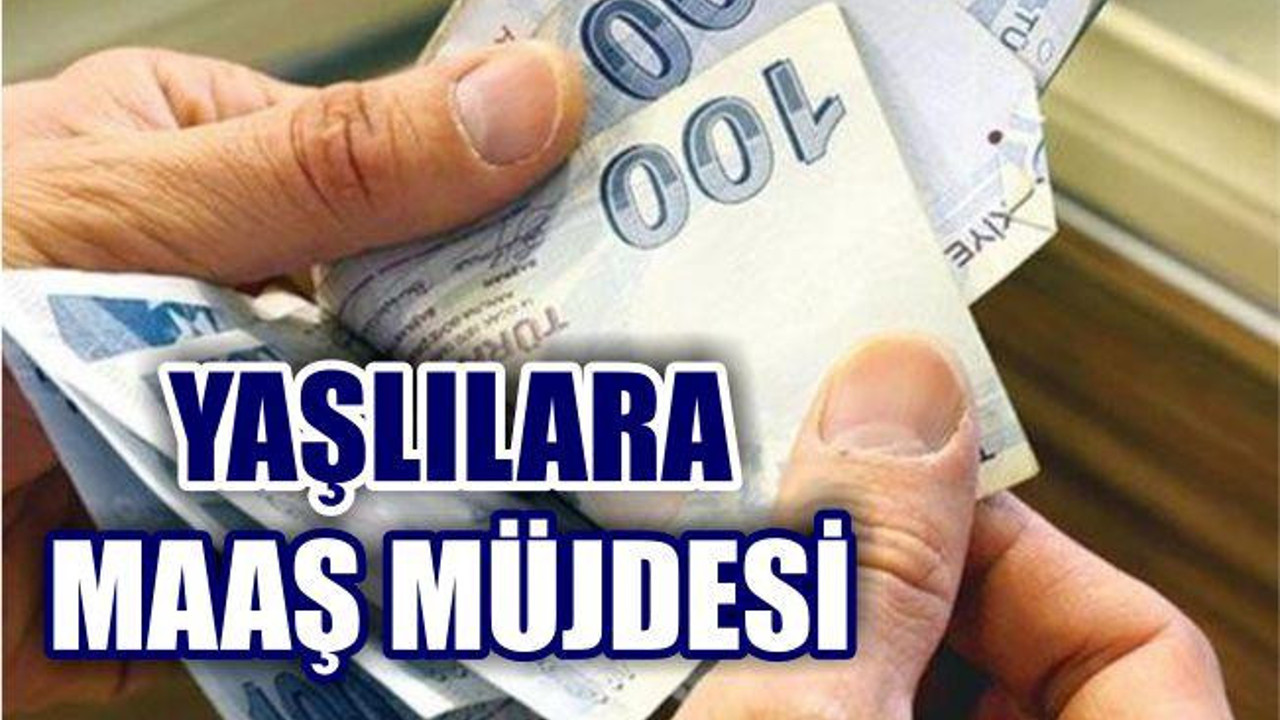 Devletten Yaşlılara 812 Lira Maaş
