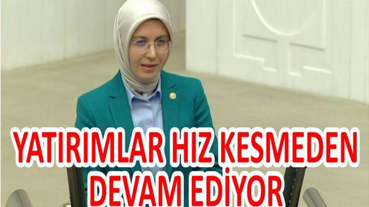YATIRIMLAR HIZ KESMEDEN DEVAM EDİYOR
