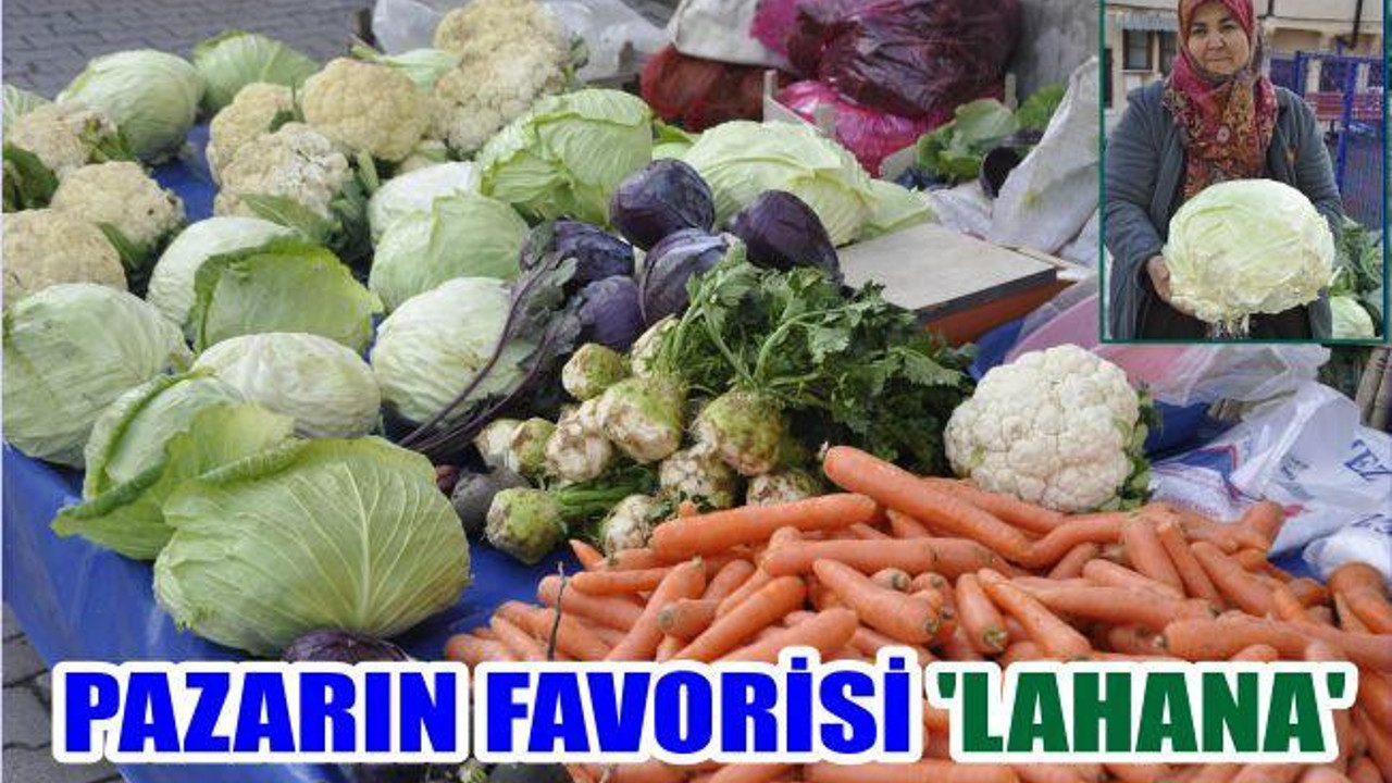 PAZARIN FAVORİSİ ‘LAHANA’