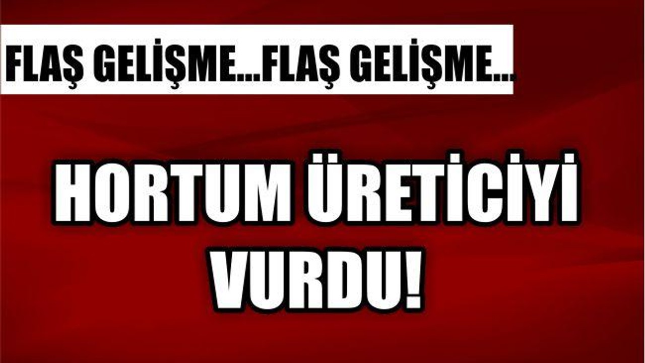 HORTUM VURDU!