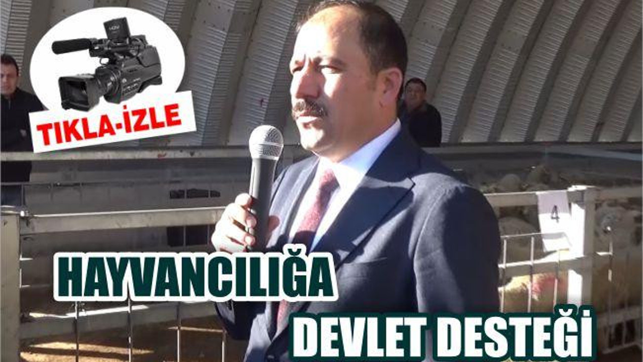 BALIKESİR’DE HAYVANCILIĞA DEVLET DESTEĞİ